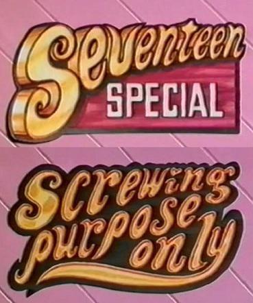 Seventeen Special.Screwing Purpose Only